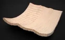 Skall [Tekstilt objekt]