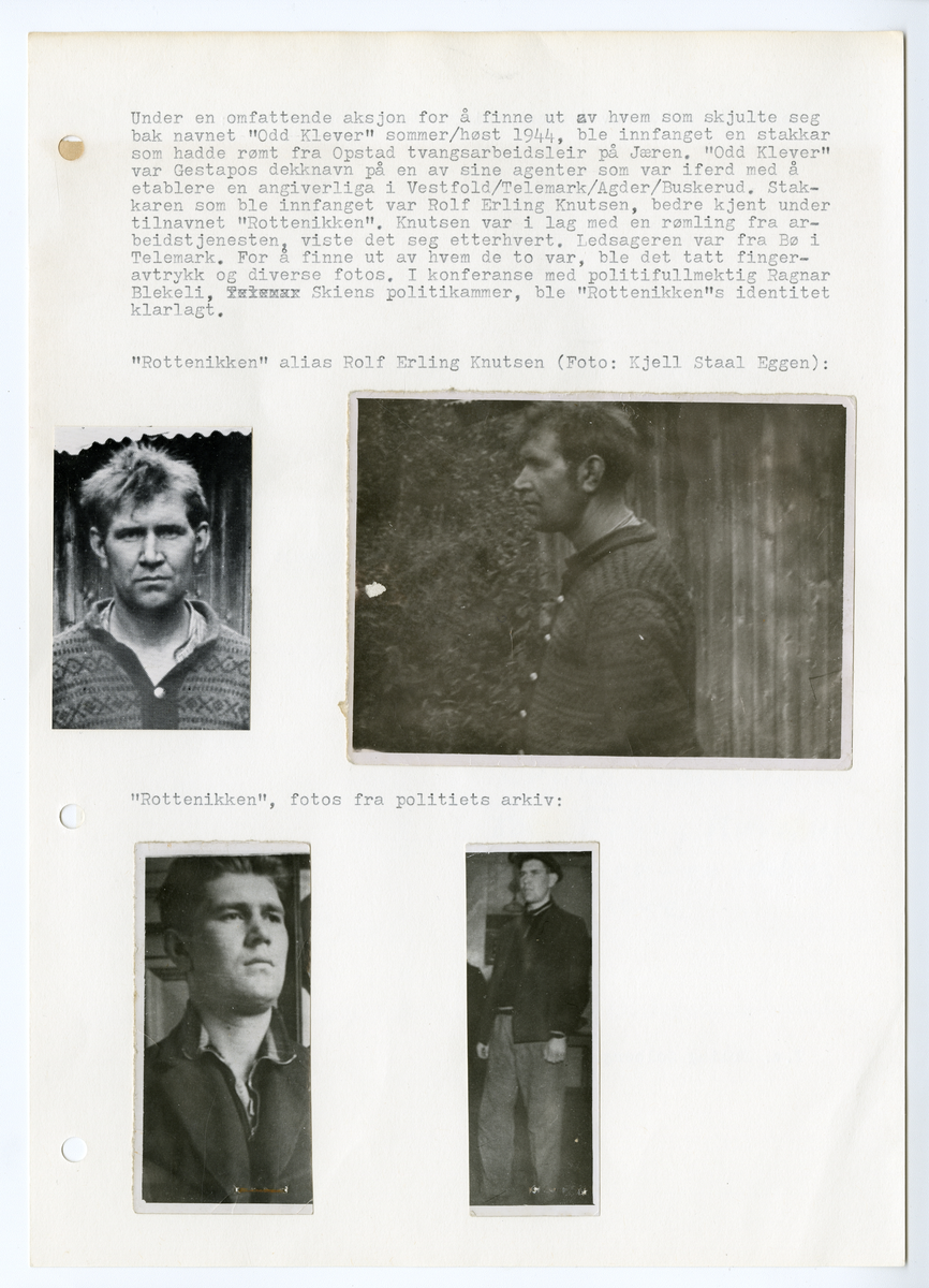 Albumsider som beskriver etterlysningen og søket etter forbryteren "Rottenikken" Rolf Erling Knutsen (1912 - 1976)

Påskrift:
"Rottenikken", fotos fra politiets arkiv 

Påskrift i albumark 1:

Politiets stikkbrev (etterlysning) etter "Rottenikken":

Rolf Erling Knutsen "Rottenikken" 10/10-12 Skien, Mørkebl. tynt hår, lav panne, mørkebl. ø-bryn, rett nese, bred kraftig hake, frisk ans. mørk ans.-farve,. Iført grå vadmelue, blå busserul, grå genser m/ hvit ring rundt, mørkeblå dongerybukser og trebunnstøvler. Rømt anl. 13/5

Påskrift i albumark 2:

Under en omfattende aksjon for å finne ut av hvem som skjulte seg bak navnet "Odd Klever" sommer/høst 1944, ble innfanget en stakkar som hadde rømt fra Opstad tvangsarbeidsleir i Jæren. "Odd Klever" var Gestapos dekknavn på en av sine agenter som var i ferd med å etablere en angiverliga i Vestfold/Telemark/Agder/Buskerud. 

Stakkaren som ble innfanget var Rolf Erling Knutsen, bedre kjent under tilnavnet "Rottenikken". Knutsen var i lag med en rømling fra arbeidstjenesten, viste deg seg etterhvert. Ledsageren var fra Bø i Telemark. For å finne ut hvem de to var, ble det tatt fingeravtrykk og diverse fotos. I konferanse med politifullmektig Ragnar Blekeli, Skiens politikammer, ble "Rottenikkens" identitet klarlagt.