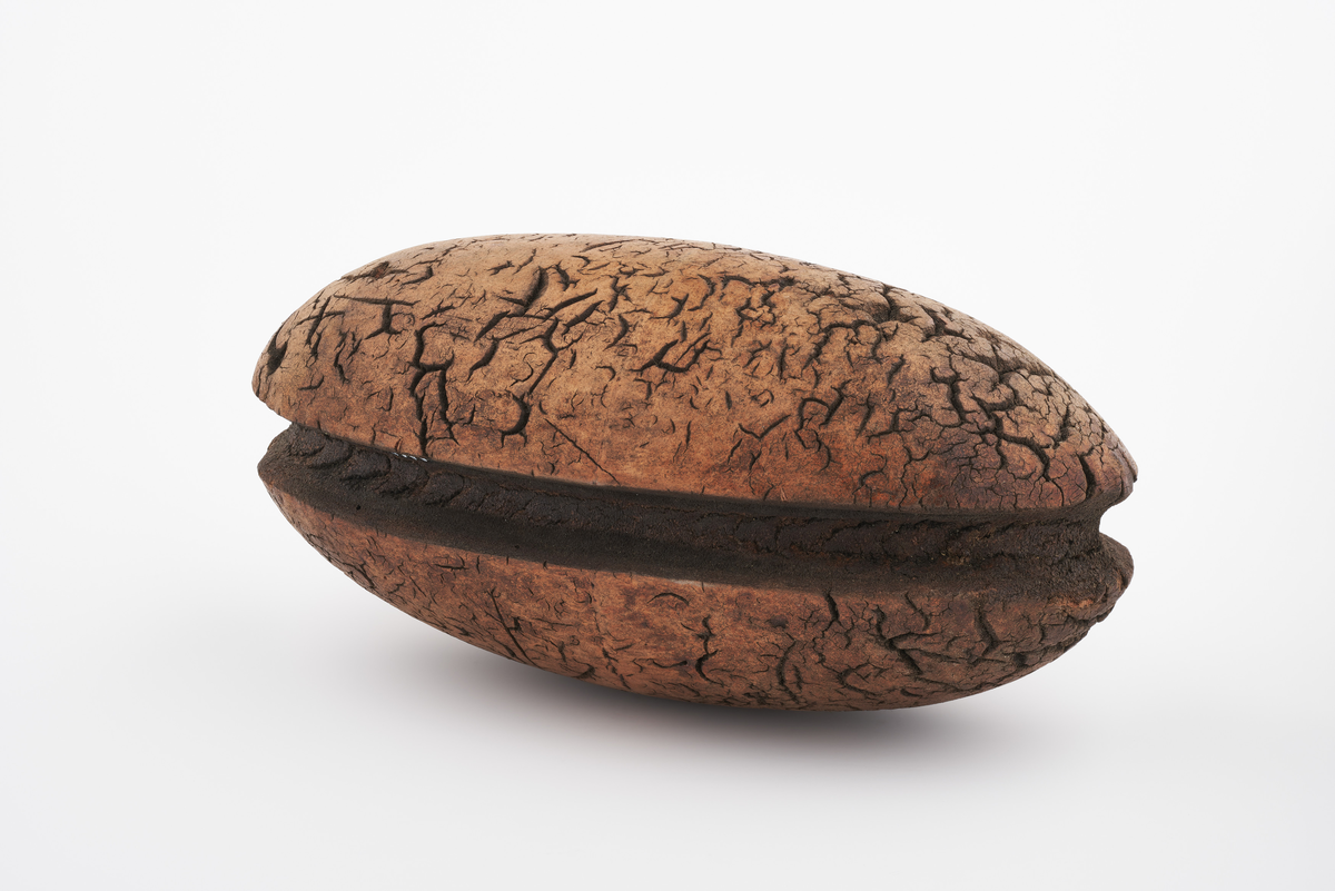En eggformet flå (kavl, flyter) laget i kork med et spor omkring midten for feste til garnets telne (tauforsterkning). Flåens hensikt er å holde fiskegarn flytende.