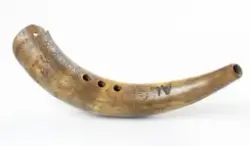 Horn