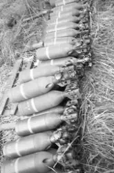 Utbildning med granatkastare m/41 D, eldröret utbytt mot 8 c