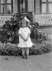 Kristina Norén