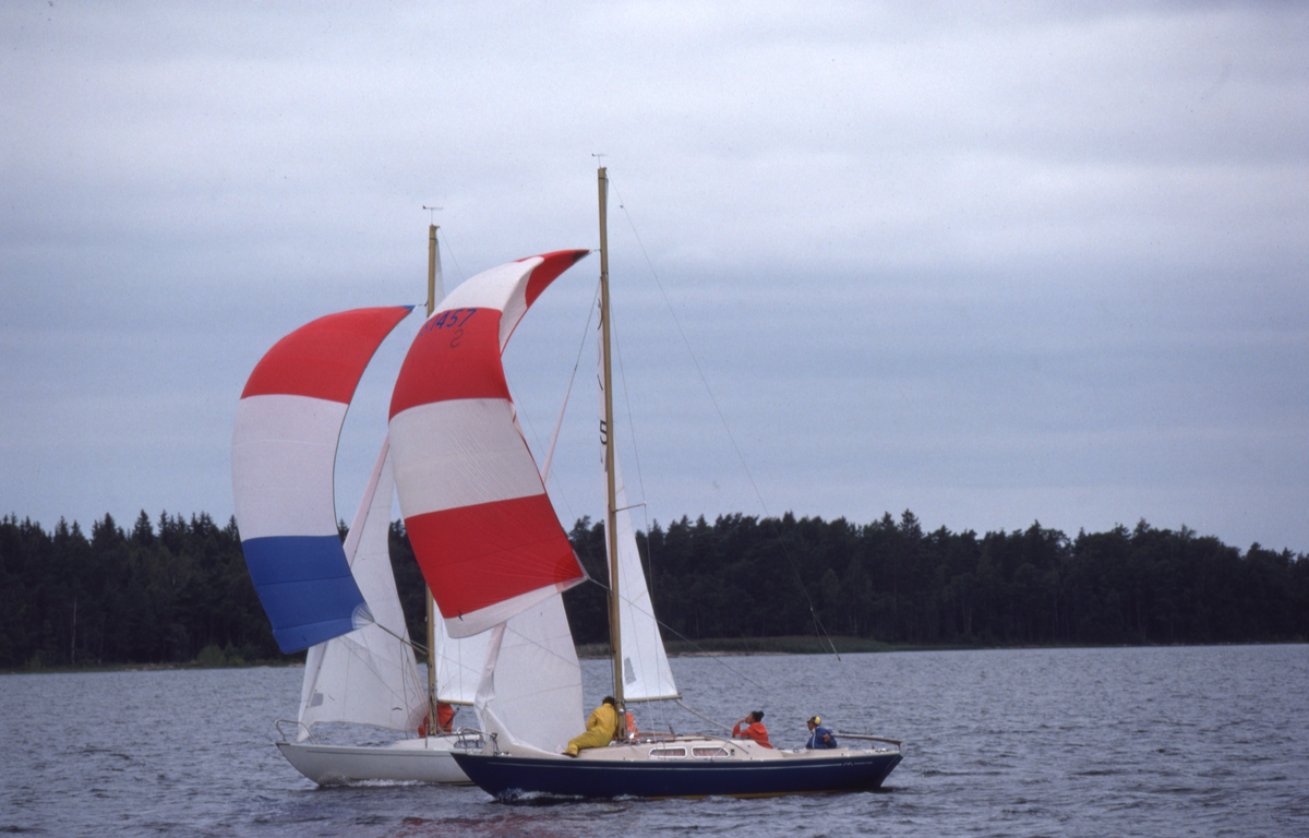 Kappsegling med IF-båtar.