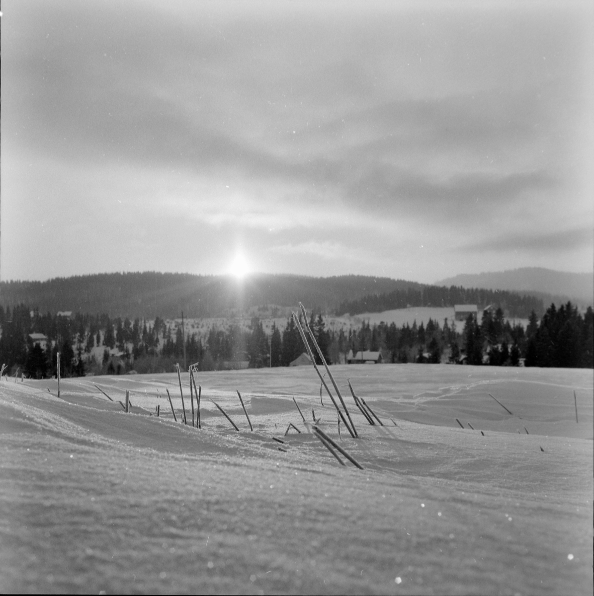 Vintersol