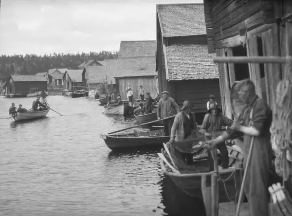 Gammal svartvit bild Trysunda fiskeläge 1929. Många båtar, stor aktivitet, fiskare och nät.