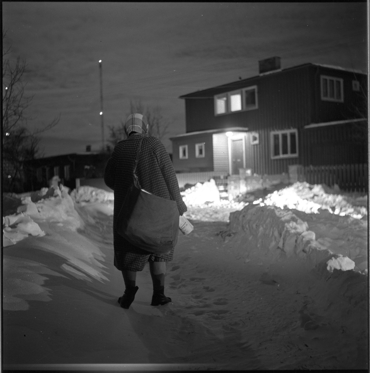 Adresseavisens avisbud om vinteren