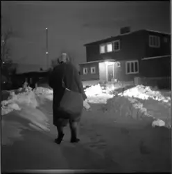 Adresseavisens avisbud om vinteren