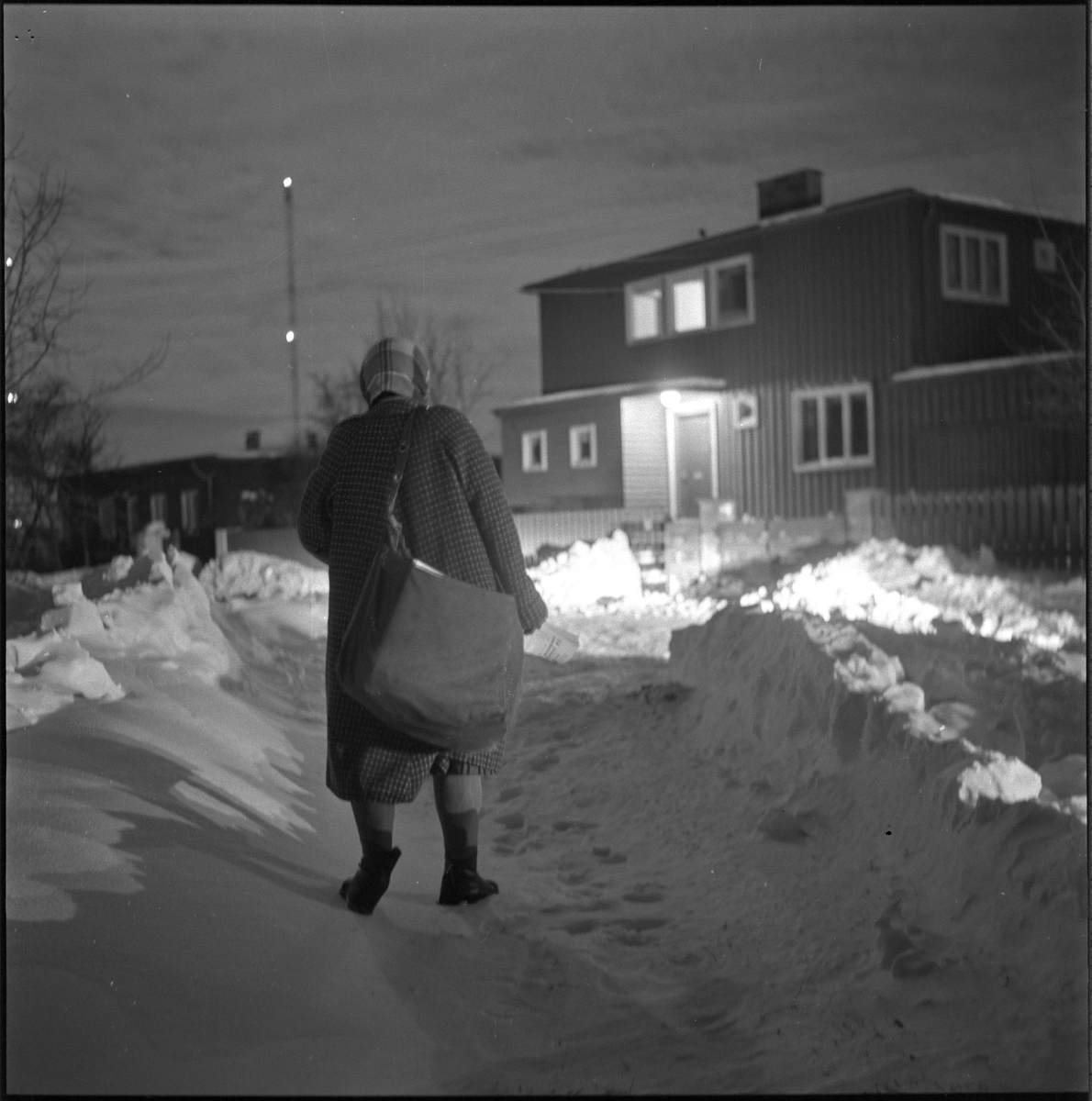 Adresseavisens avisbud om vinteren