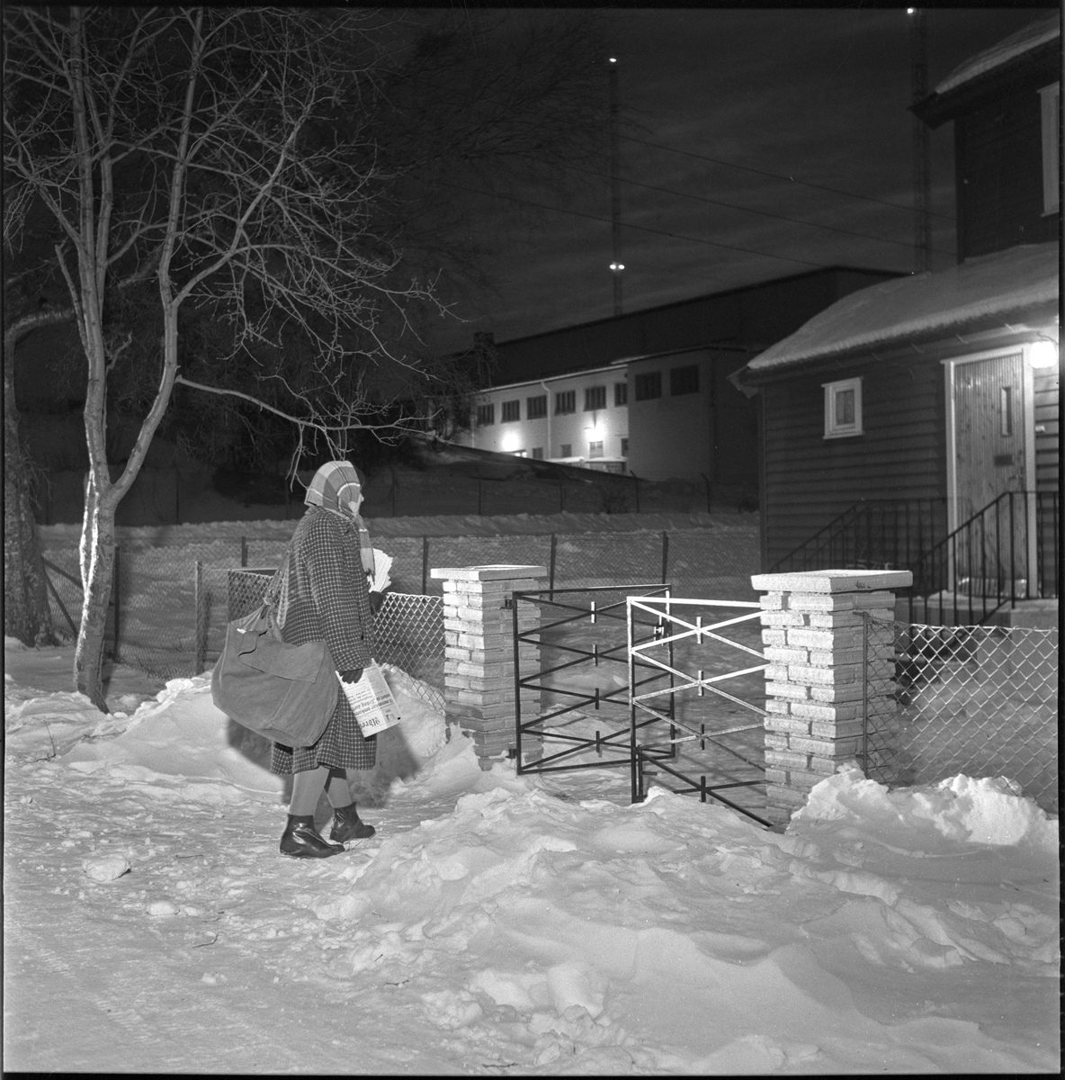 Adresseavisens avisbud om vinteren