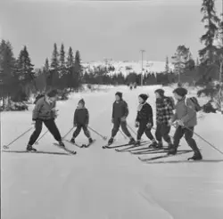 Skikurs for barn i Bymarka