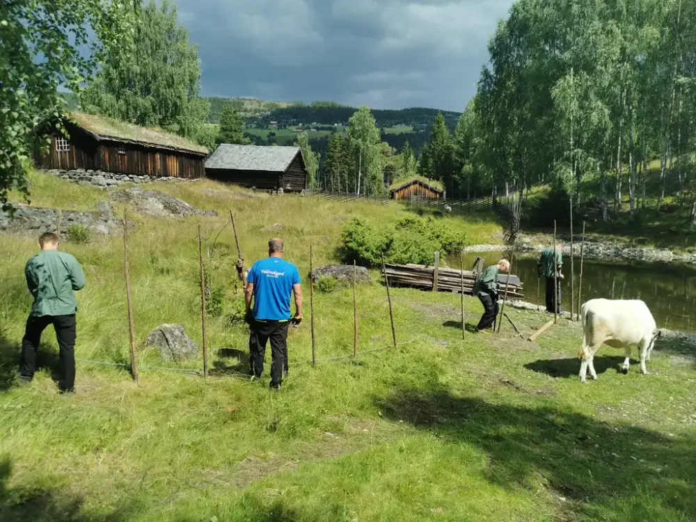 Gruppe ungdomar som setjar opp skigard