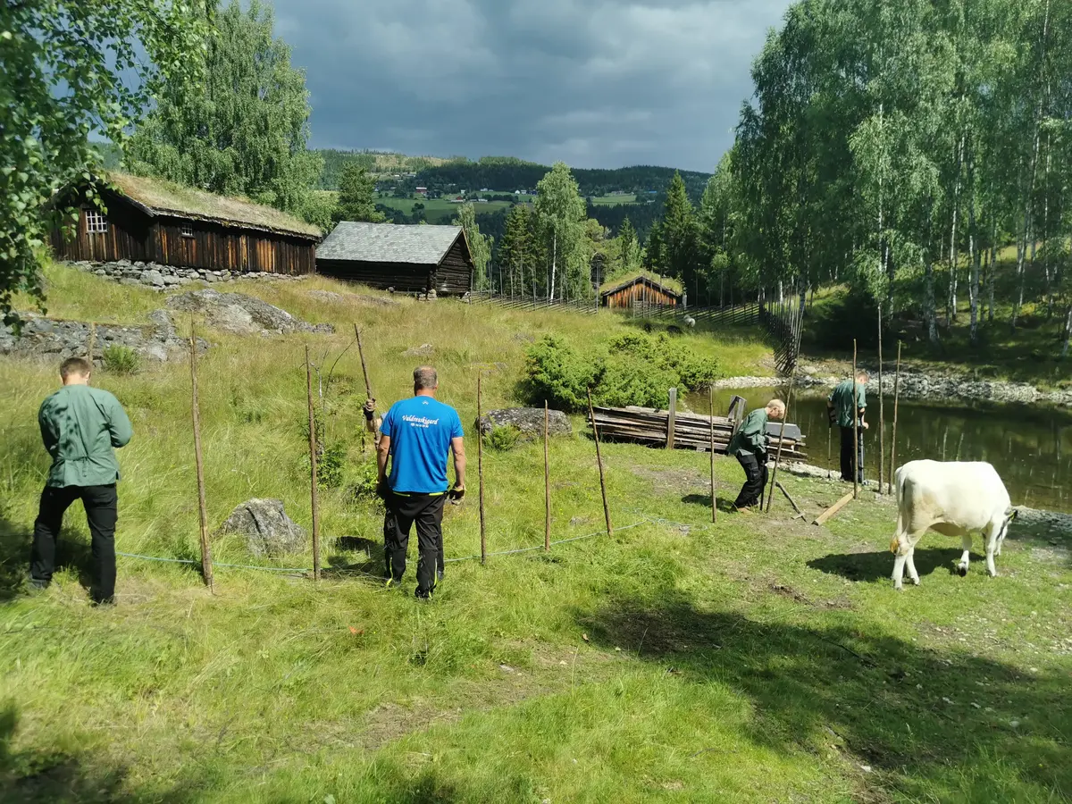 Gruppe ungdomar som setjar opp skigard