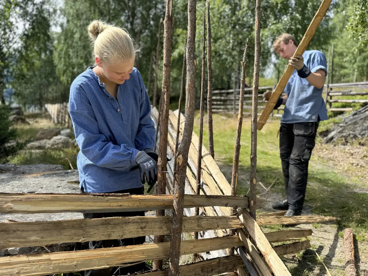 Ungdomar som byggjar skigard