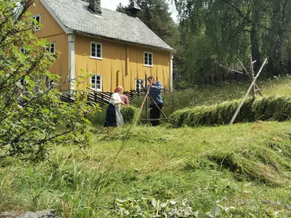 To ungdomar som driver med hesjing etter slått