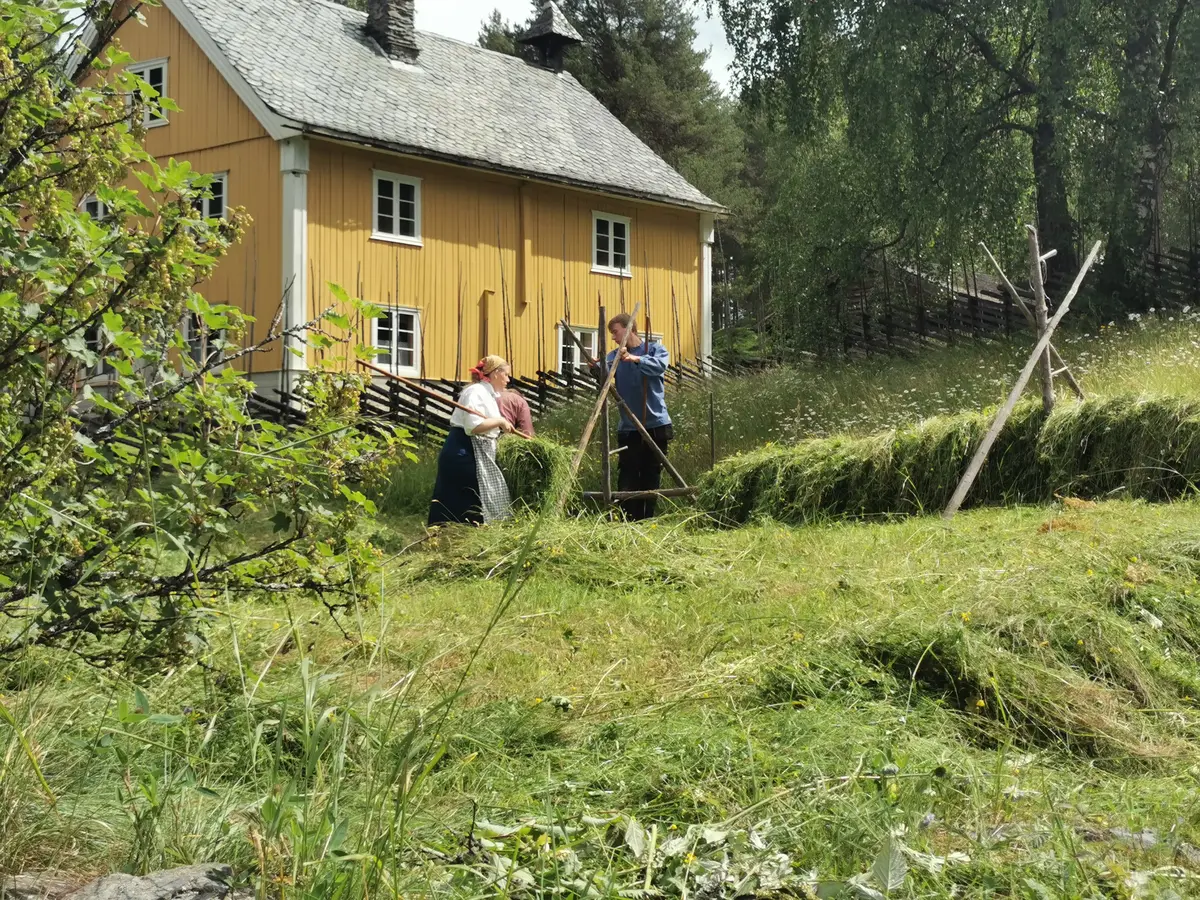 To ungdomar som driver med hesjing etter slått