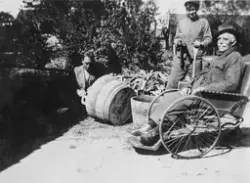 Fra tunet til Halvorsvei 13, Hauge vestre på Rolvsøy, ant. t