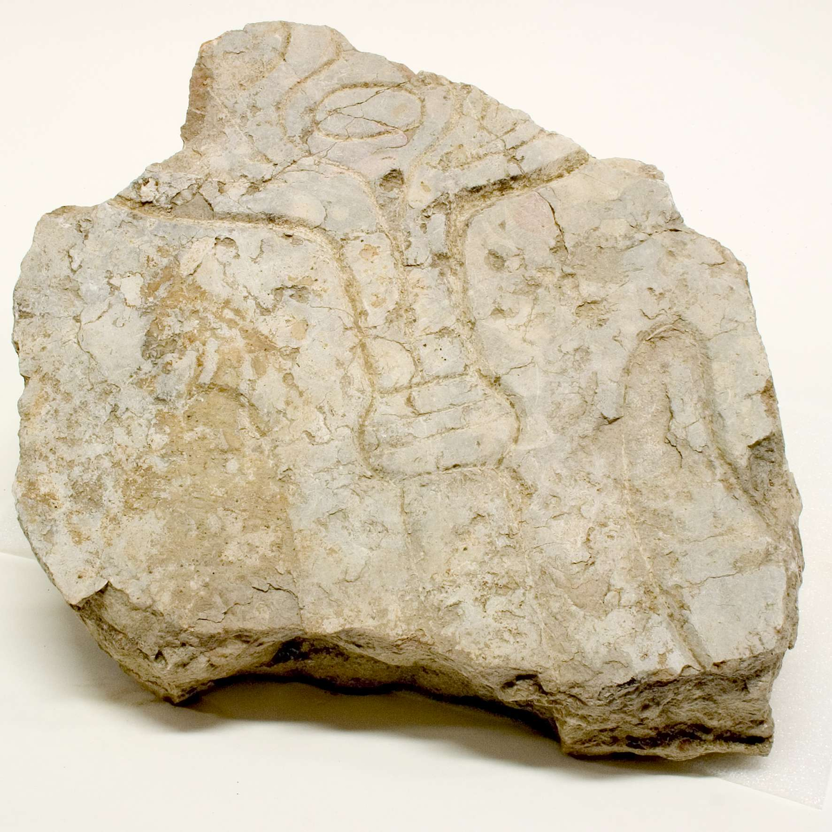 469 fragment av sten - större delen utgörs av ljus kalksten samt en mindre del av röd kalksten. Olika storlekar på fragmenten, på några av fragmenten finns ornamentik.
