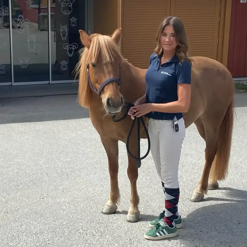En dame leier en lysebrun ponni. 