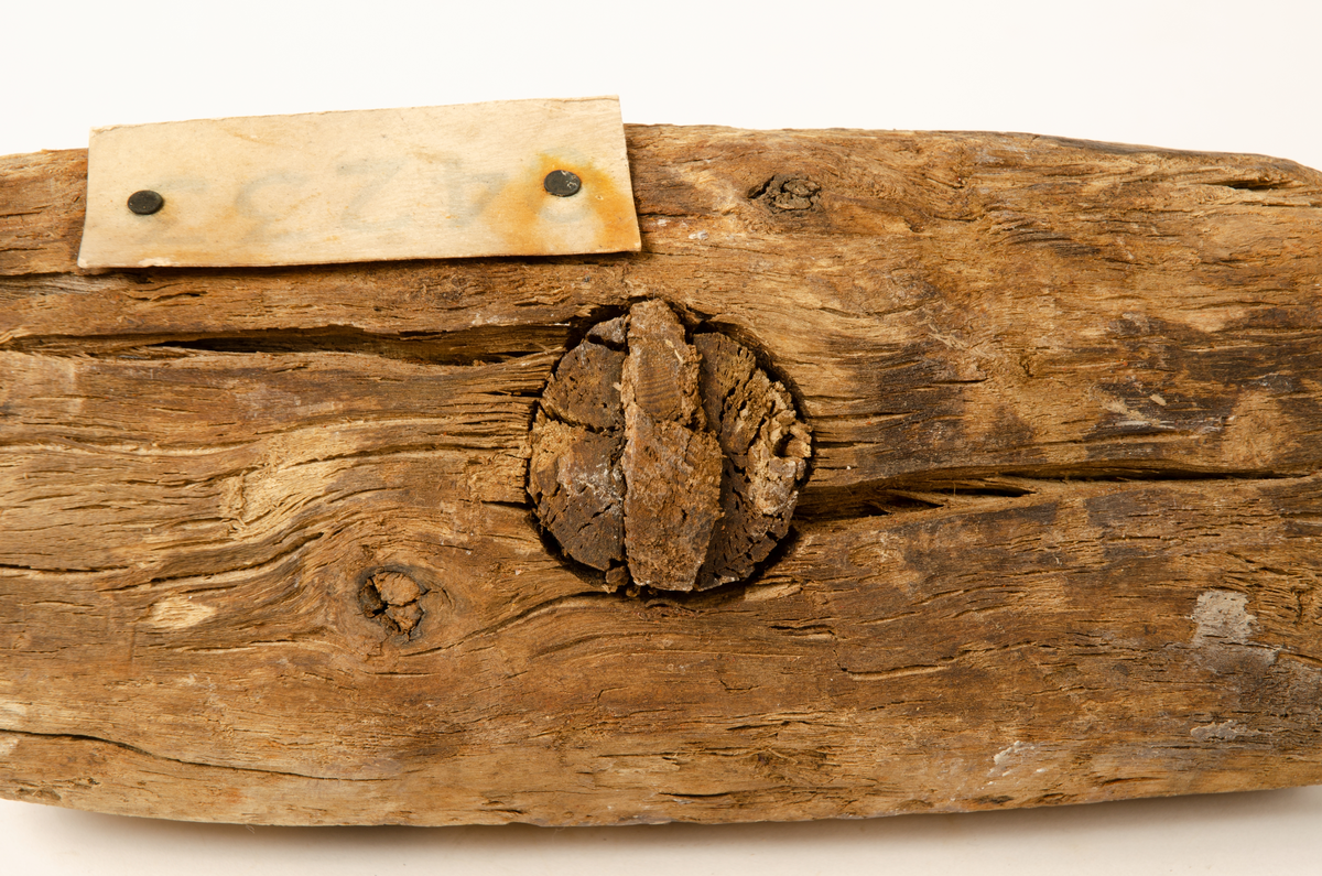 Huvud till klubba. Något sprucken, i övrigt i gott skick. En del av det avbrutna skaftet sitter kvar i skafthålet.

För mer information se Dokumentationsblankett under Referenser – Länkade filer.