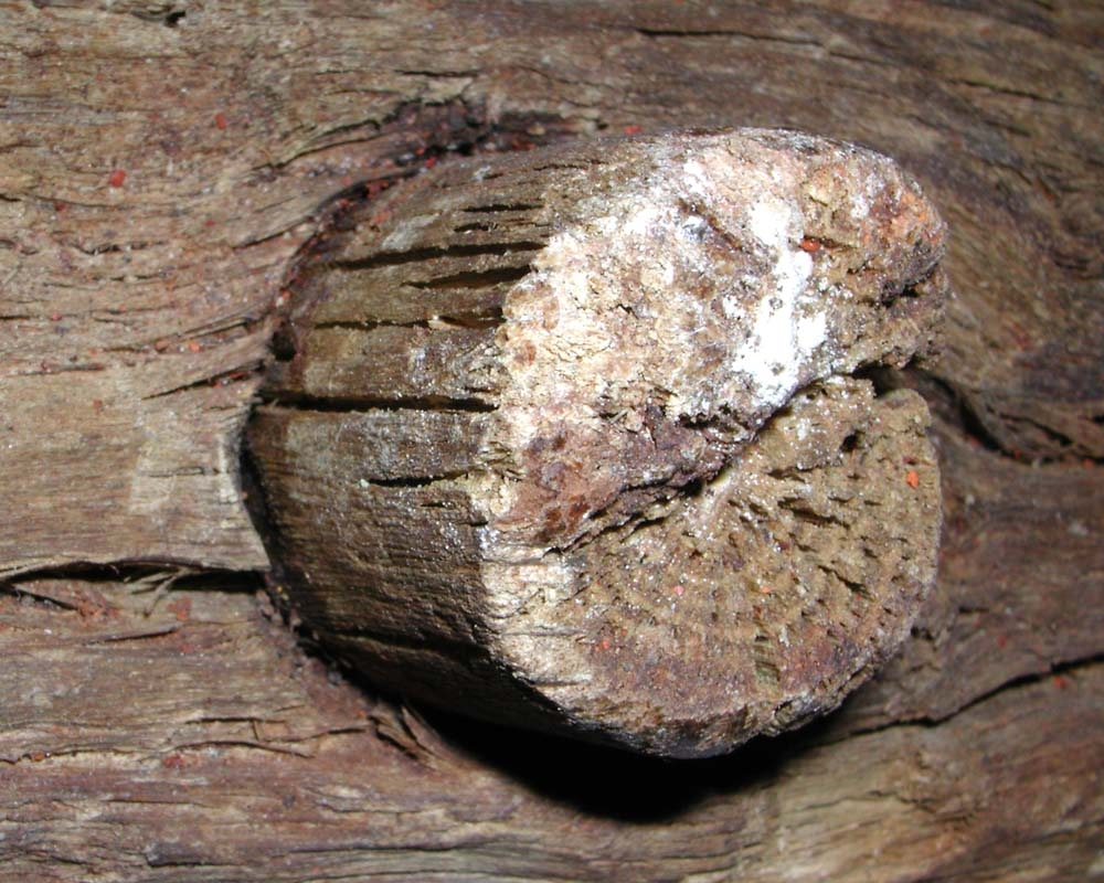 Huvud till klubba. Något sprucken, i övrigt i gott skick. En del av det avbrutna skaftet sitter kvar i skafthålet.

För mer information se Dokumentationsblankett under Referenser – Länkade filer.