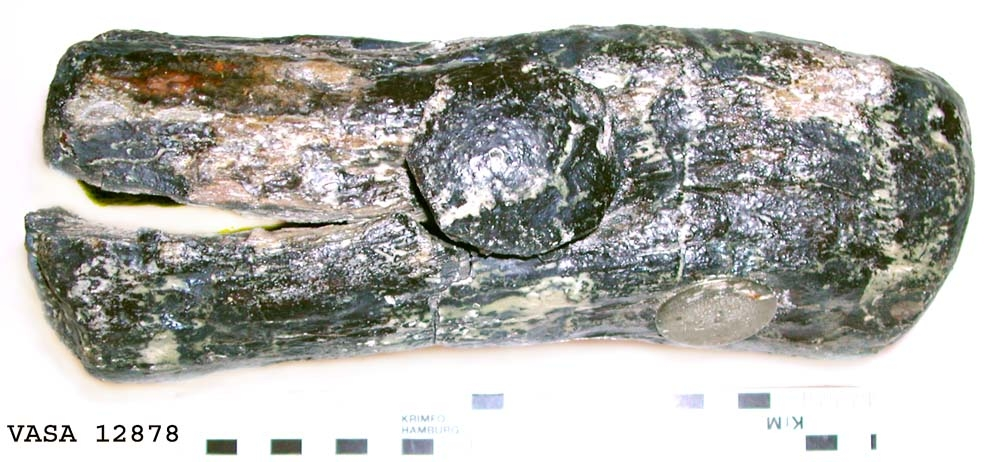 Huvud till klubba. Tämligen gott skick, sånär som att en fjärdedel av huvudet slagits loss. En del av skaftet sitter kvar i hålet.

För mer information se Dokumentationsblankett under Referenser – Länkade filer.