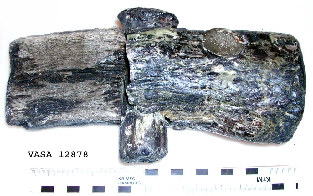 Huvud till klubba. Tämligen gott skick, sånär som att en fjärdedel av huvudet slagits loss. En del av skaftet sitter kvar i hålet.

För mer information se Dokumentationsblankett under Referenser – Länkade filer.