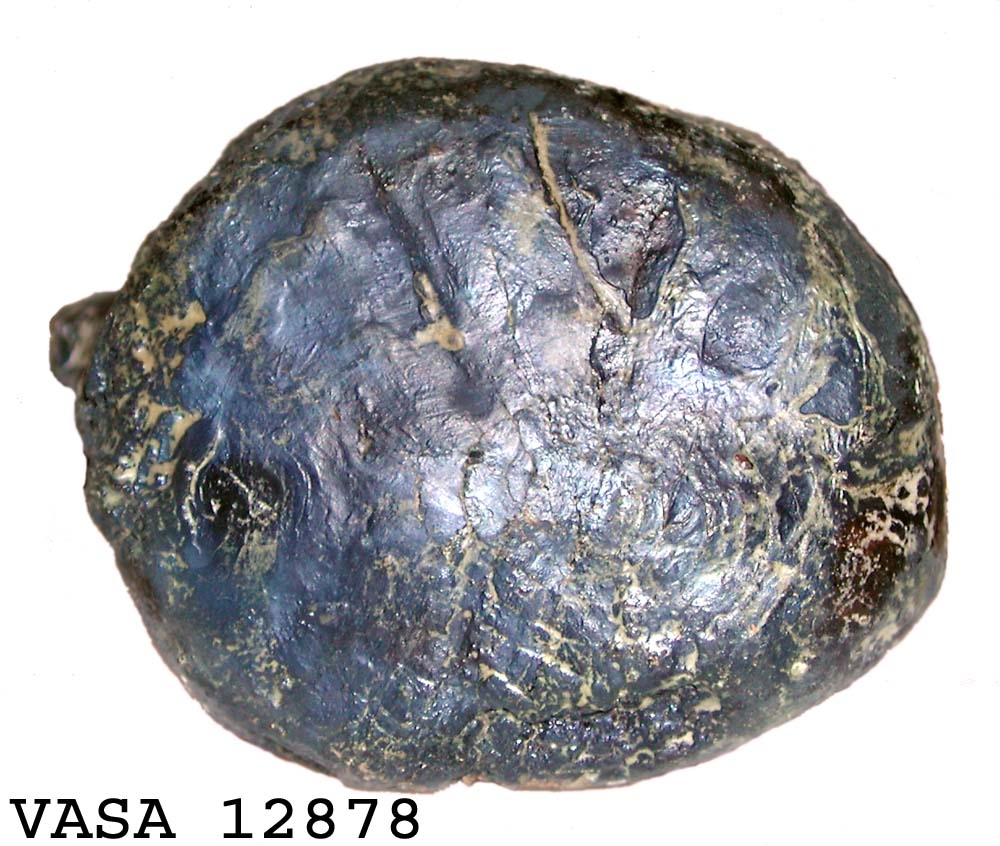 Huvud till klubba. Tämligen gott skick, sånär som att en fjärdedel av huvudet slagits loss. En del av skaftet sitter kvar i hålet.

För mer information se Dokumentationsblankett under Referenser – Länkade filer.