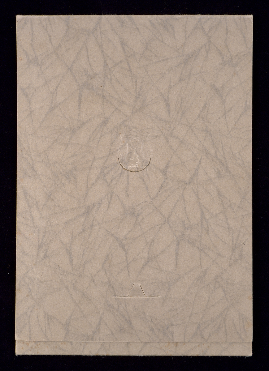 Fotografi monterat i etui av grå marmorerad papp. Etuiet är självstagande när det vecklas ut. Under fotografiet finns en stämpel: "The O'Neil Studio. 24 Park Street. Attleboro, Mass".

Fotografiet föreställer systrarna Edith (tv) och Sigrid (th) Torsson i finkläder.