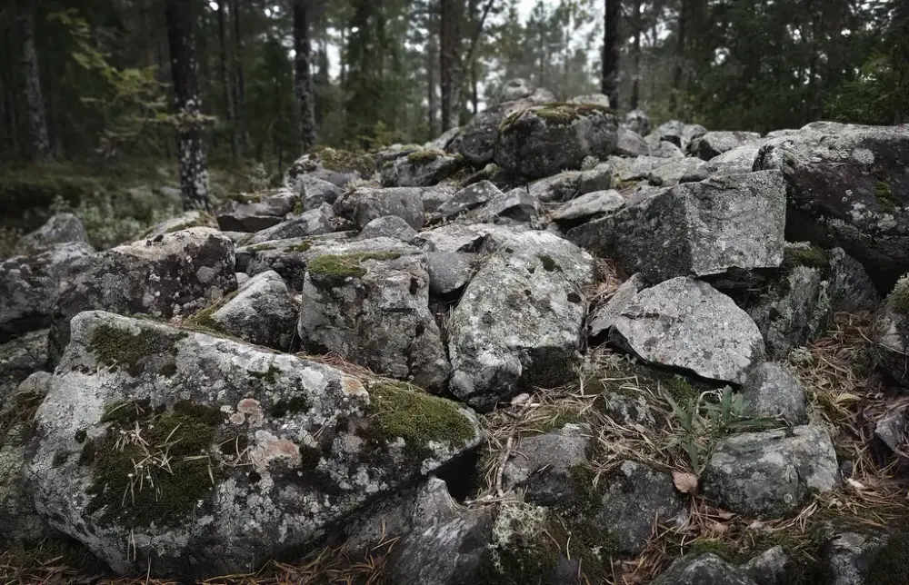 Ett röse, en grav ute i skogen, någonstans i Västernorrland