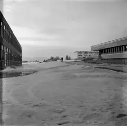 Tveita skole og Deichmanske bibliotek