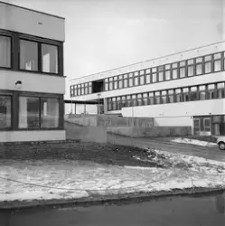 Tveita skole
