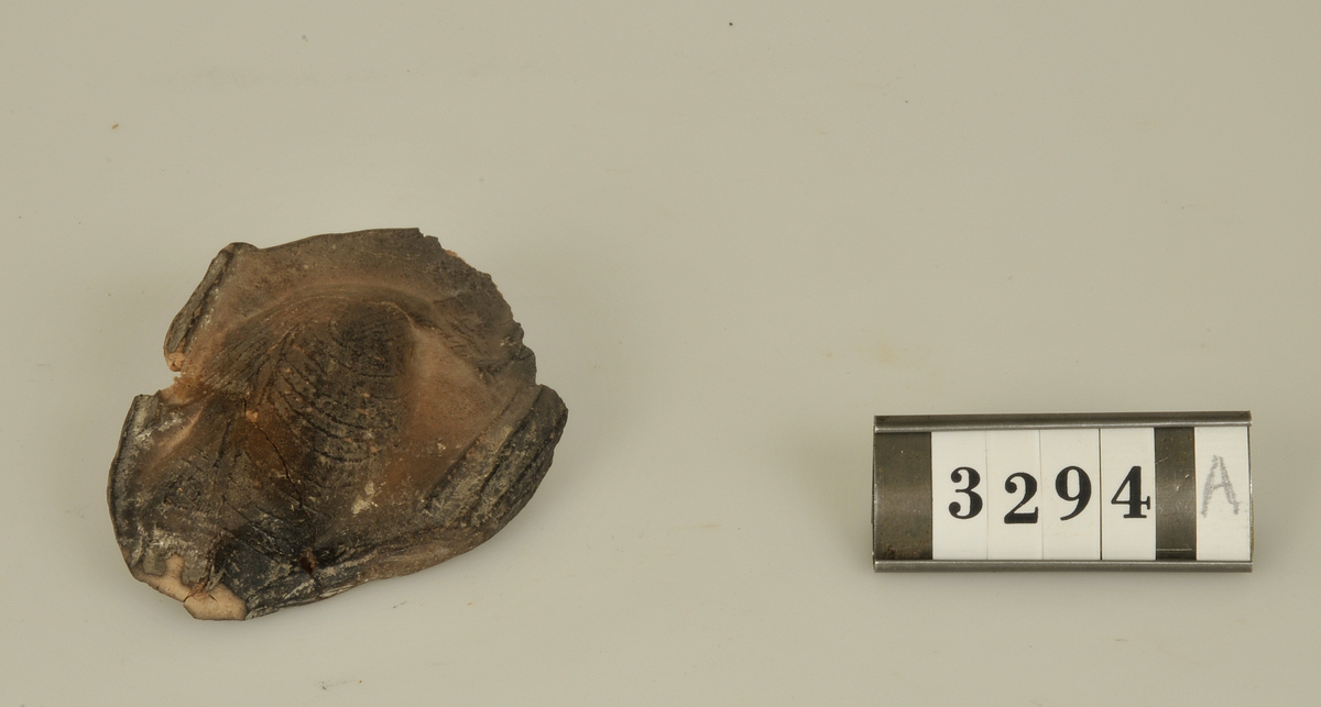 Högrelief med fågelmotiv.
Av lera som pressats i formar och sedan bränts.
Den större av relieferna har på baksidan tydligt
hudavtryck av en fot.

a) Storlek: 8,5 x 6 cm.
b)     "        5 x 3,5 cm.

Har tillhört de Adelsköldska samlingarna.
