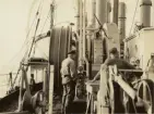 Besättning på fartyg. Ur album.