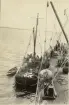 Besättning på båt. Ur album.