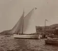 Segelbåt. Bolinder. Ur album: J. & C. G. Bolinder's M. V.A.B. Stockholm.
