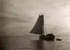 Kabel Kämpinge - Zarrensin, 1919.Vid Bock. Ur album: Diverse kabelutläggning. Sverige - Tyskland. Helsingborg - Hälsningör.
