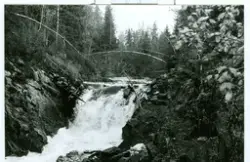 Fløytedam i Rømskog