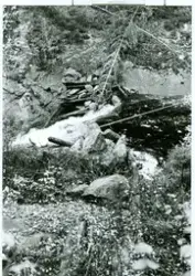 Fløytedam i Rømskog