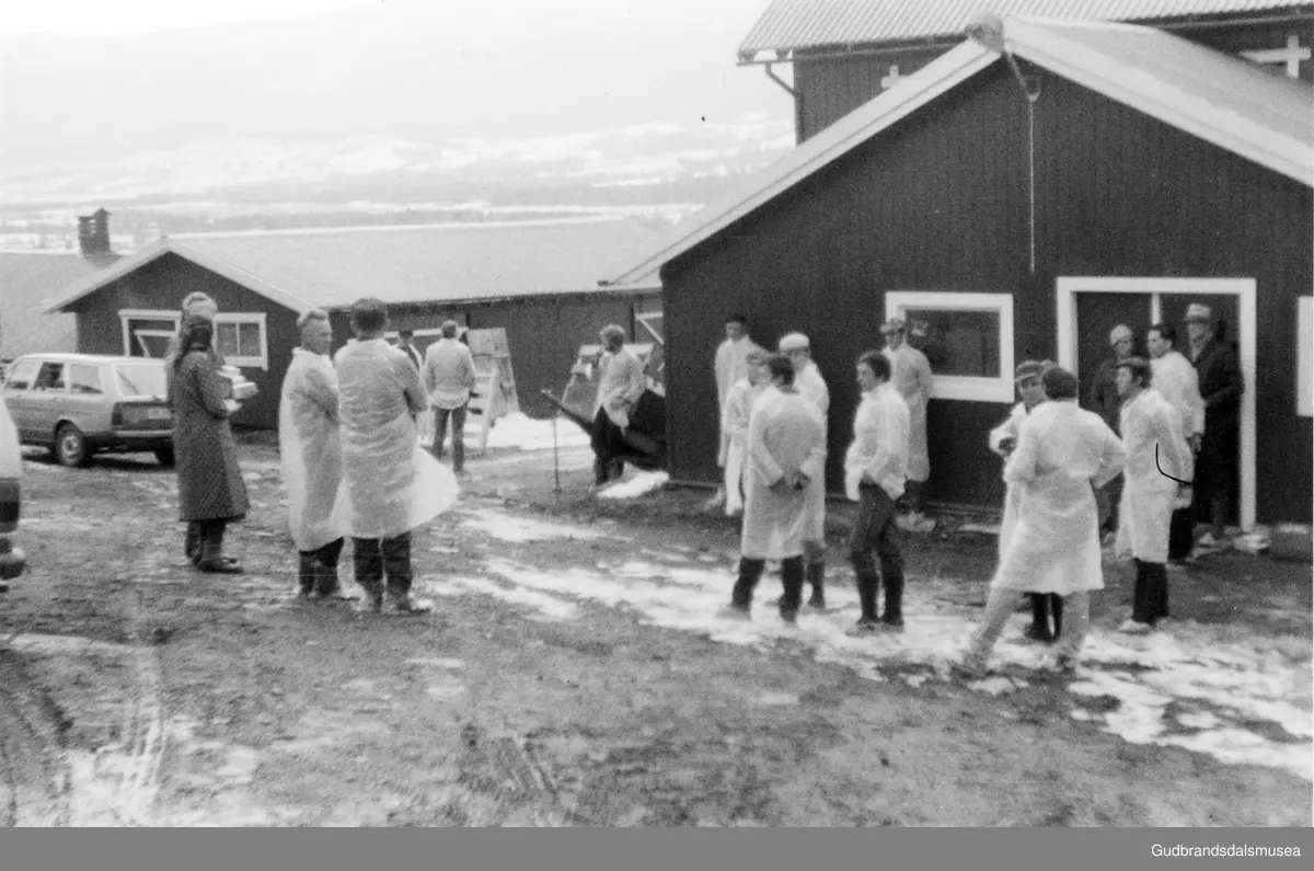 Stor gruppe (ysteriansatte??) på gardsbesøk på Lesja