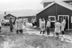 Stor gruppe (ysteriansatte??) på gardsbesøk på Lesja