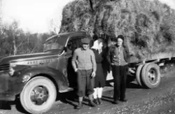 Køyring av høy frå setrene i Dovre-Kvitdalen.