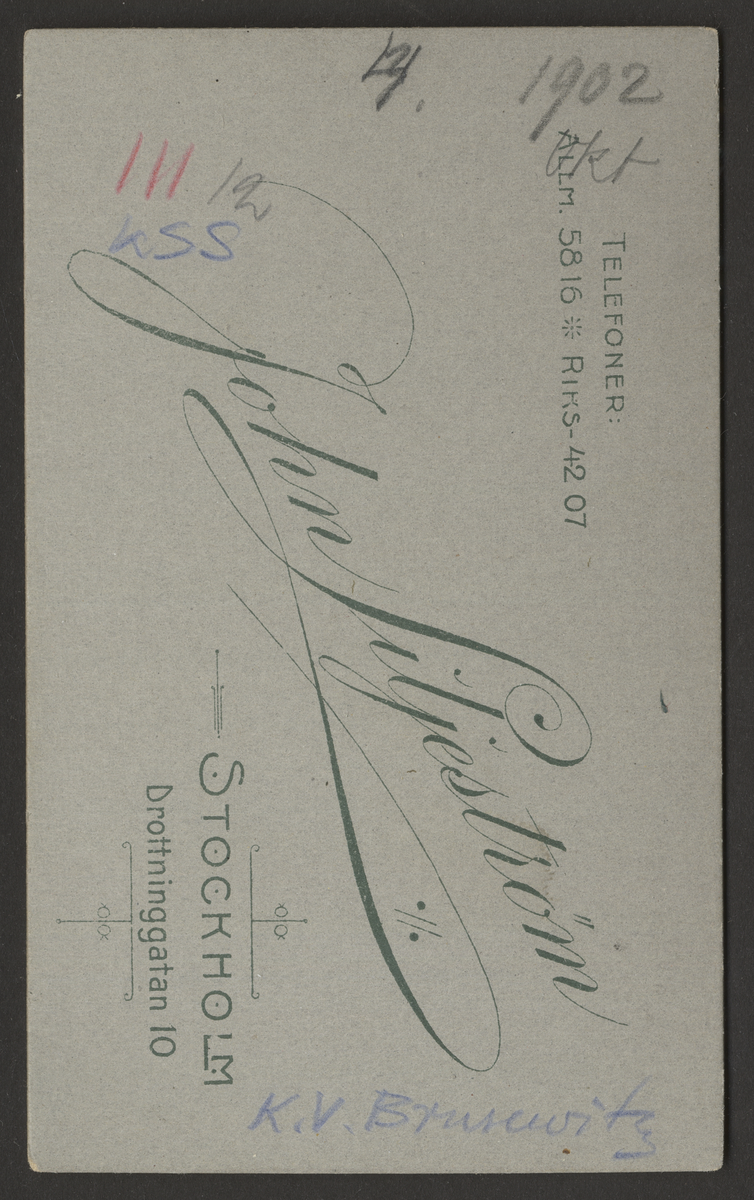 K. V. Brusevitz 1902-