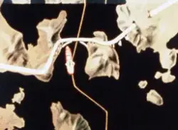 Bilbärgning efter Tjörnbrokatastrofen