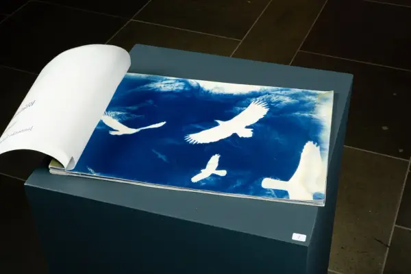 Kart og Terreng utstilling