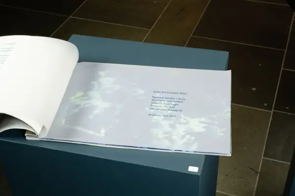 Kart og Terreng utstilling