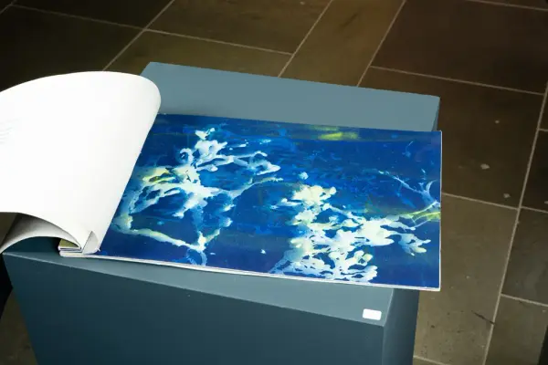 Kart og Terreng utstilling