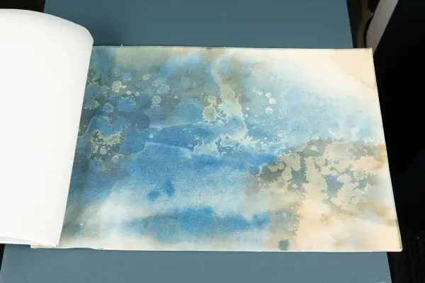 Kart og Terreng utstilling