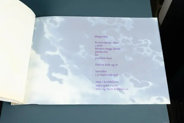 Kart og Terreng utstilling