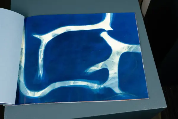 Kart og Terreng utstilling