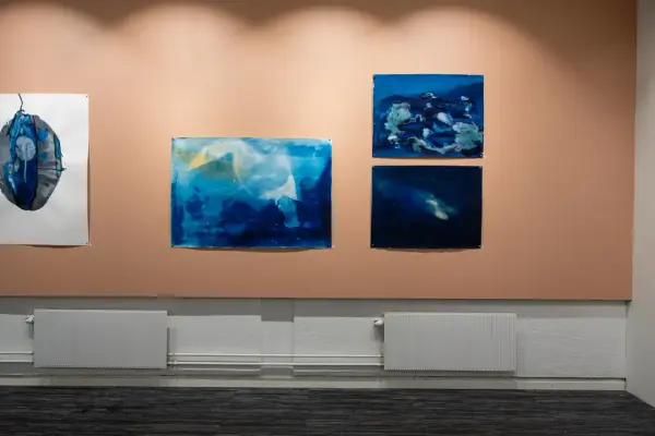 Kart og Terreng utstilling